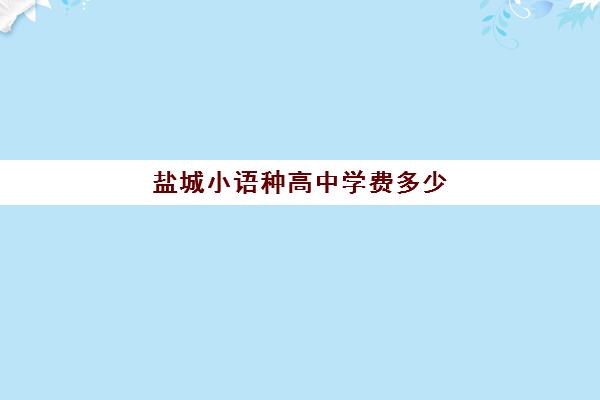 盐城小语种高中学费多少(盐城技校学费大约多少)