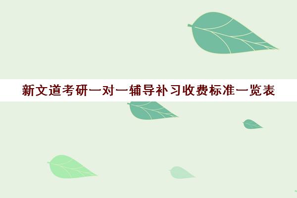 新文道考研一对一辅导补习收费标准一览表