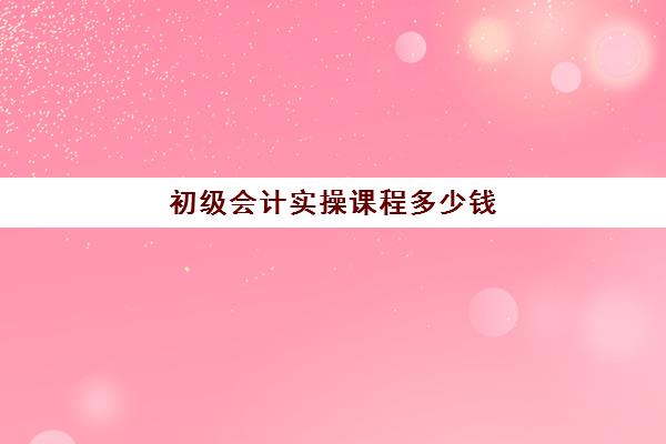 初级会计实操课程多少钱(初级会计课程)