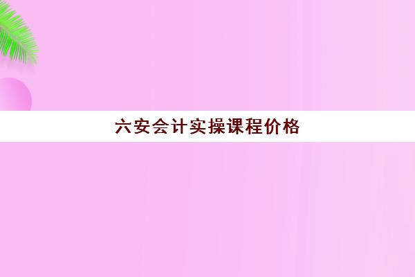 六安会计实操课程价格(会计网校)