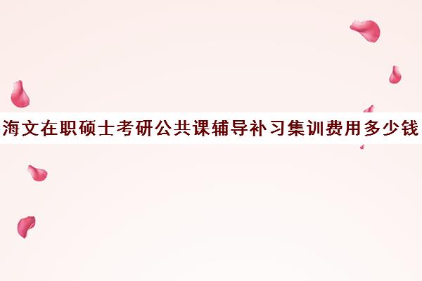 海文在职硕士考研公共课辅导补习集训费用多少钱