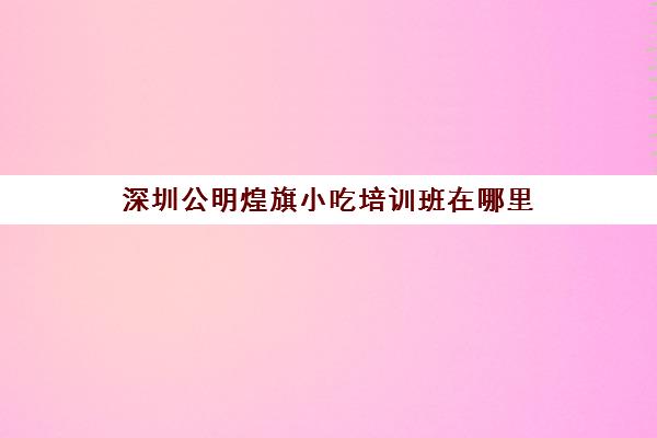 深圳公明煌旗小吃培训班在哪里(小吃培训速成班就选煌旗)