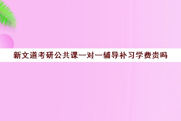 新文道考研公共课一对一辅导补习学费贵吗