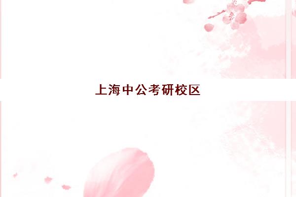 上海中公考研校区(中公考研哪个校区师资好)