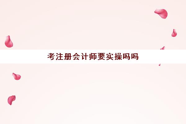 考注册会计师要实操吗吗(零基础考初级会计难吗)