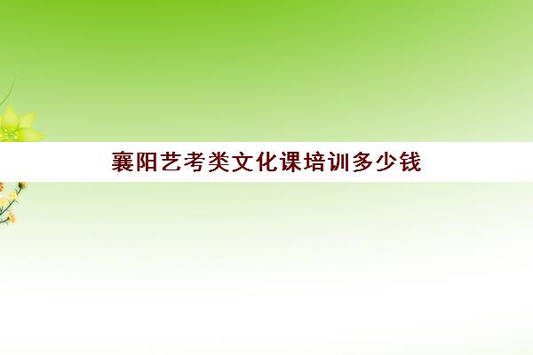 襄阳艺考类文化课培训多少钱(艺术生怎么学好文化课)