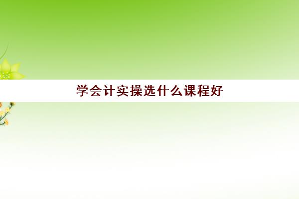 学会计实操选什么课程好(会计学要学的课程)