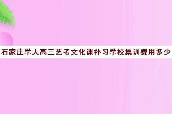 石家庄学大高三艺考文化课补习学校集训费用多少钱