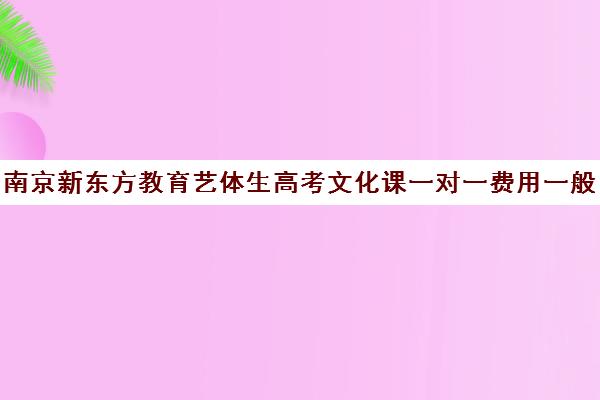 南京新东方教育艺体生高考文化课一对一费用一般多少钱（新东方艺考文化课学费多少）