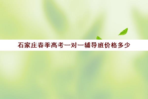 石家庄春季高考一对一辅导班价格多少(春季高考线上辅导班)