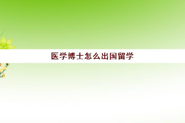 医学博士怎么出国留学(国外医学博士好申请吗)