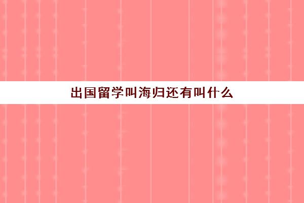 出国留学叫海归还有叫什么(在国外回来的人叫海龟吗)