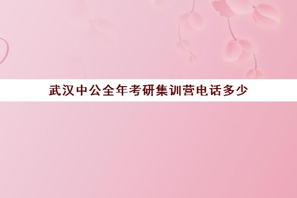 武汉中公全年考研集训营电话多少（中公考研官网在线咨询）