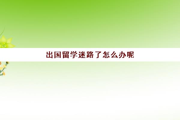 出国留学迷路了怎么办呢(怎么去国外上大学)