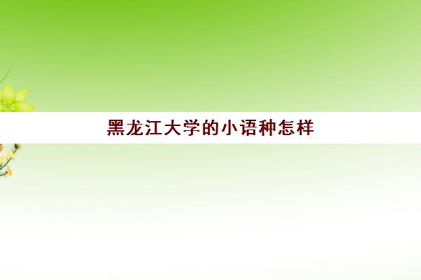 黑龙江大学的小语种怎样(黑龙江大学小语种)