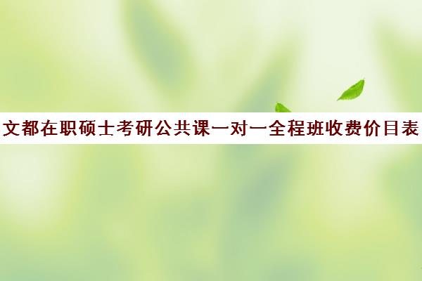 文都在职硕士考研公共课一对一全程班收费价目表（文都考研半年集训营多少钱）