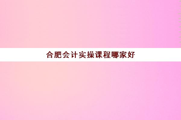 合肥会计实操课程哪家好(蚌埠会计培训哪里比较好)