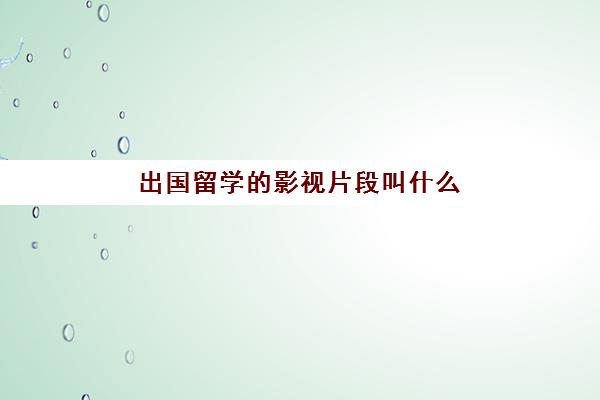 出国留学的影视片段叫什么(中国传媒大学多少分能考上留学生)