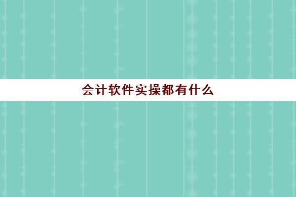 会计软件实操都有什么(学会计必备软件)