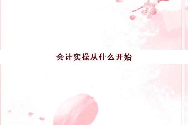 会计实操从什么开始(会计第一步要先做什么)