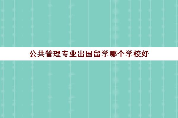 公共管理专业出国留学哪个学校好(公共管理专业哪个大学比较好)