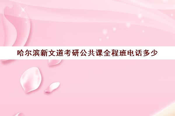 哈尔滨新文道考研公共课全程班电话多少（新文道考研机构地址在哪）