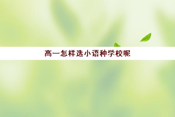 高一怎样选小语种学校呢(高中小语种哪个好学)