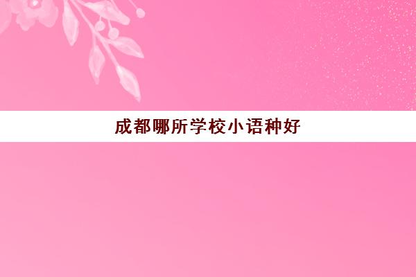 成都哪所学校小语种好(成都小语种培训机构排名)