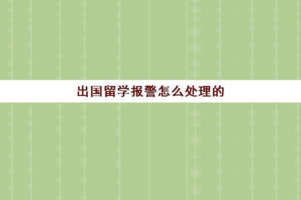 出国留学报警怎么处理的(在国外可以打110报警吗)