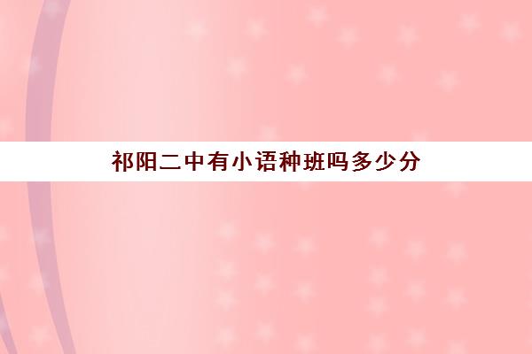 祁阳二中有小语种班吗多少分(祁阳职业中专对口升学有哪些专业)