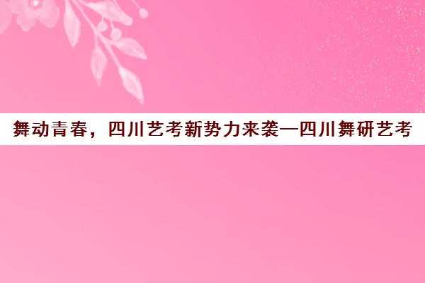 舞动青春，四川艺考新势力来袭—四川舞研艺考