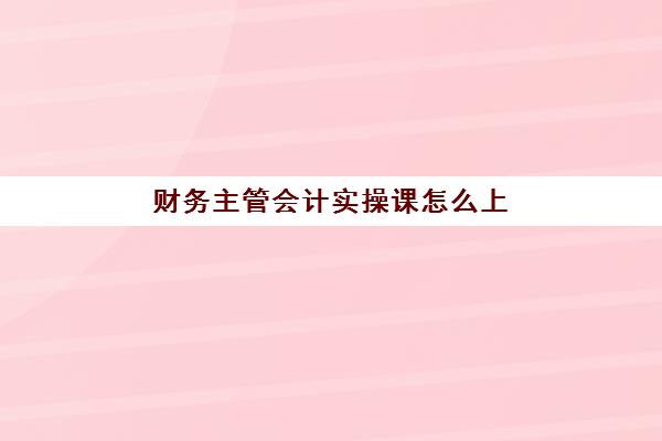 财务主管会计实操课怎么上(财务主管和会计主管的区别)