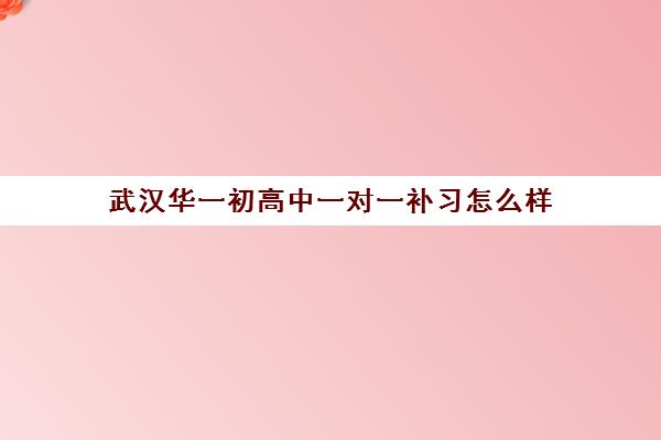 武汉华一初高中一对一补习怎么样