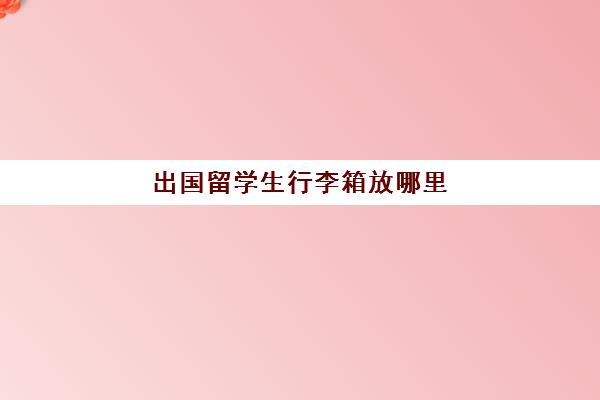 出国留学生行李箱放哪里(留学生的档案放哪里)