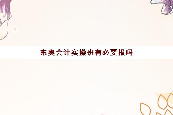 东奥会计实操班有必要报吗(东奥会计继续教育官网)