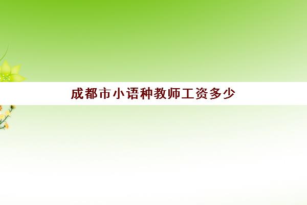 成都市小语种教师工资多少(对外汉语教师工资一般是多少)