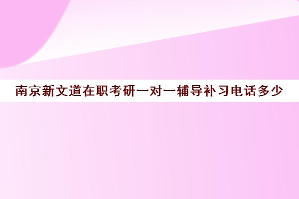 南京新文道在职考研一对一辅导补习电话多少