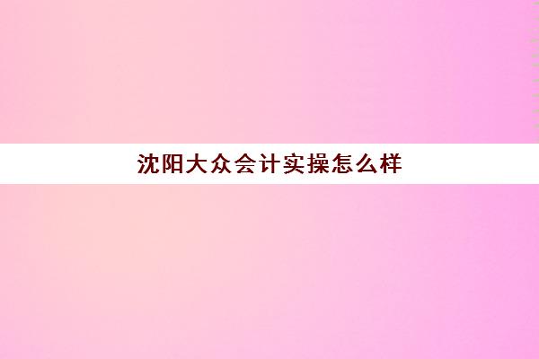 沈阳大众会计实操怎么样(沈阳学会计哪个学校好)