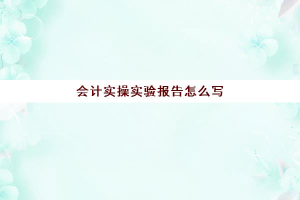 会计实操实验报告怎么写(会计实训内容300字)