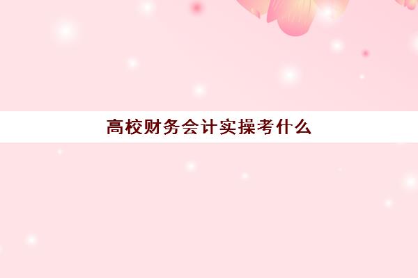 高校财务会计实操考什么(大学会计要学什么课程)