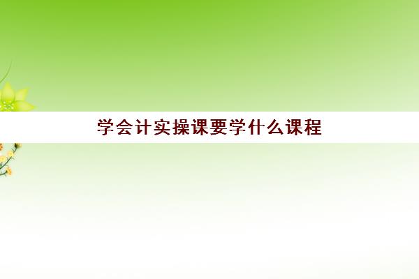 学会计实操课要学什么课程(会计入门要学什么课程)