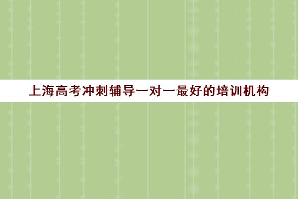 上海高考冲刺辅导一对一最好的培训机构(高考冲刺培训班哪个好)