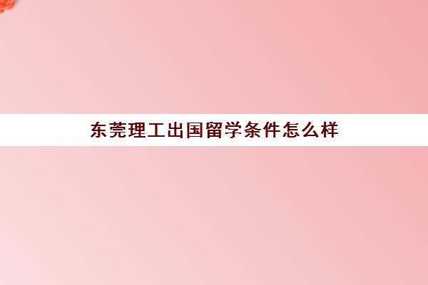 东莞理工出国留学条件怎么样(武汉出国留学中介排名)