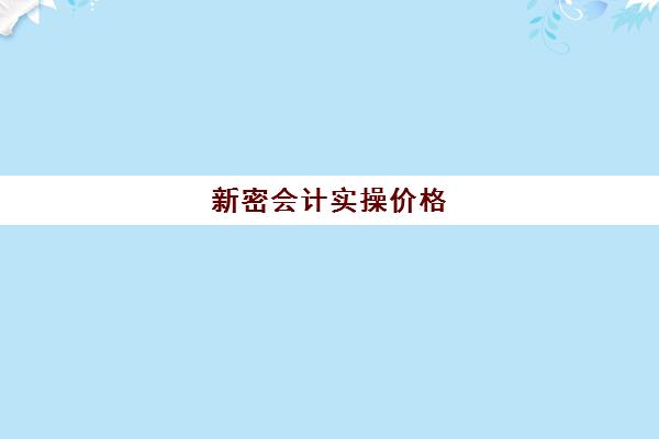 新密会计实操价格(巩义会计招聘最新信息)