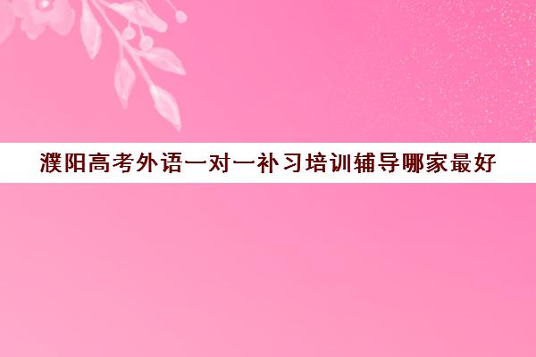 濮阳高考外语一对一补习培训辅导哪家最好