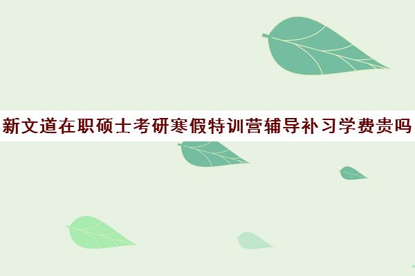 新文道在职硕士考研寒假特训营辅导补习学费贵吗