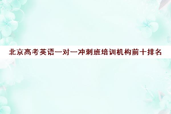 北京高考英语一对一冲刺班培训机构前十排名(高中英语一对一怎么带)