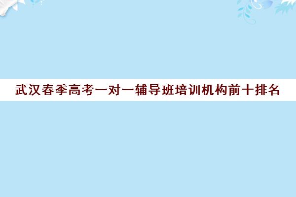 武汉春季高考一对一辅导班培训机构前十排名(武汉高中一对一辅导机构哪家好)