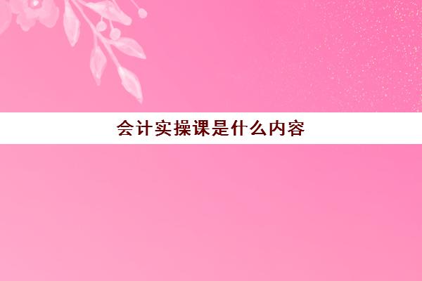 会计实操课是什么内容(会计实训都干什么)