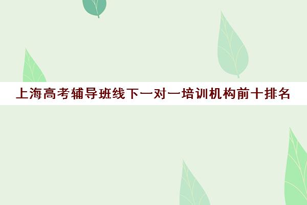 上海高考辅导班线下一对一培训机构前十排名(上海高中培训哪个机构好)